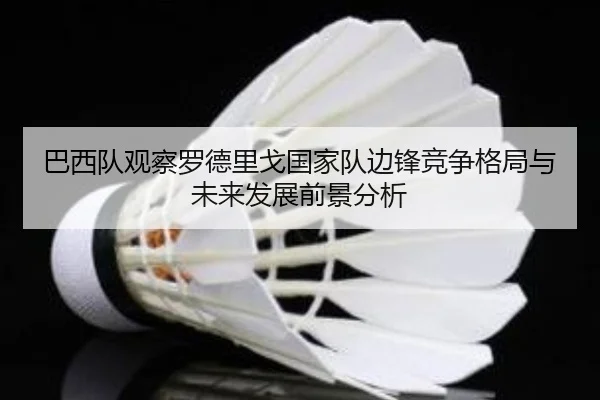 巴西队观察罗德里戈国家队边锋竞争格局与未来发展前景分析